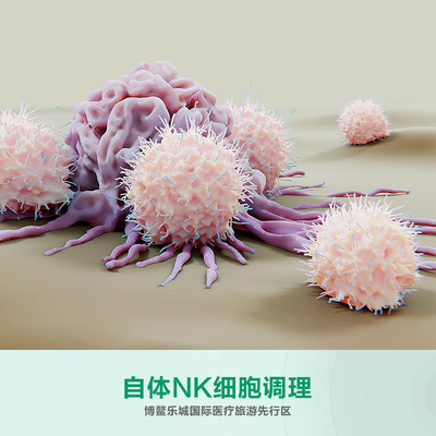 自体 NK 细胞调理技术