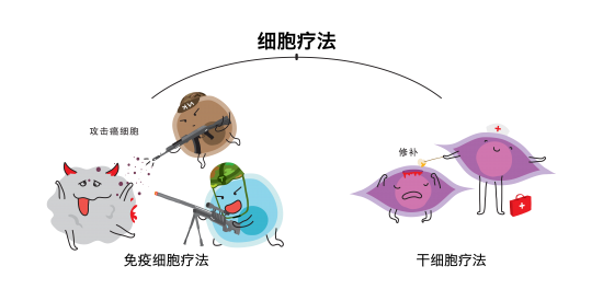 免疫细胞-1.png